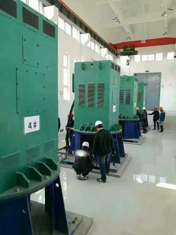 阳日镇某污水处理厂使用我厂的立式高压电机安装现场