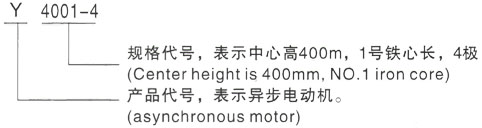 西安泰富西玛Y系列(H355-1000)高压阳日镇三相异步电机型号说明