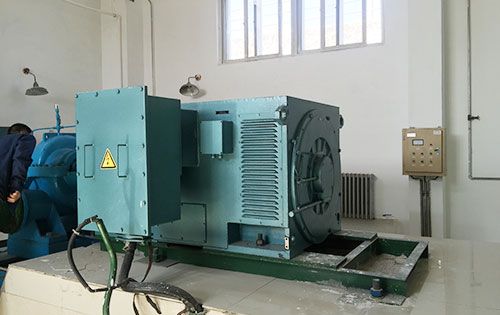 阳日镇某水电站工程主水泵使用我公司高压电机